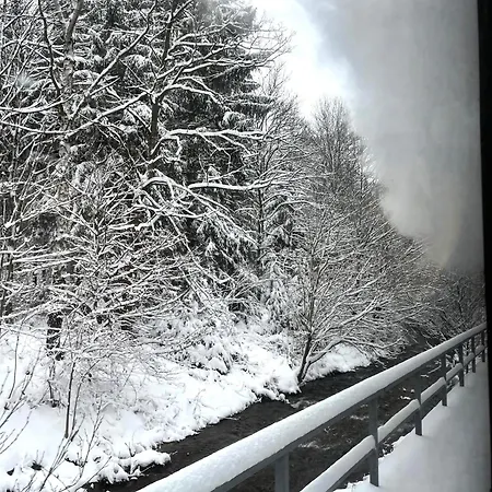 Prázdninový dům Waldhaus Zur Kleinbahn *