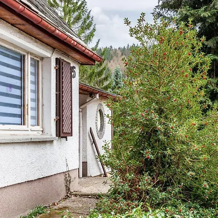 Waldhaus Zur Kleinbahn Ferienhaus *