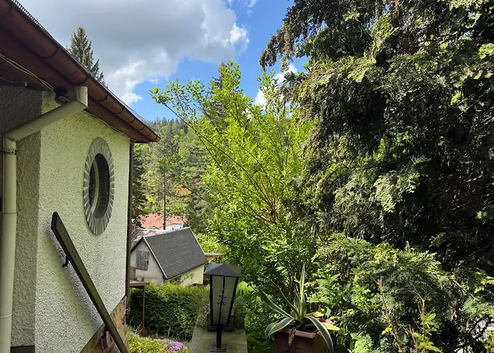 Waldhaus Zur Kleinbahn Prázdninový dům *