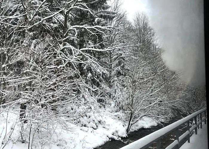 Prázdninový dům Waldhaus Zur Kleinbahn *